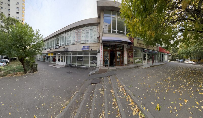 Colentina, Teiul Doamnei, spatiu comercial